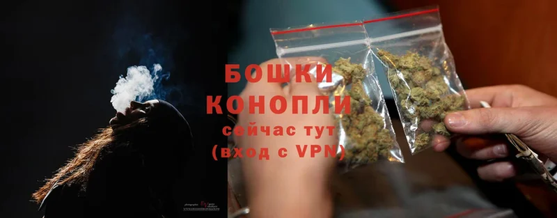 купить наркотики сайты  Ртищево  Марихуана THC 21% 